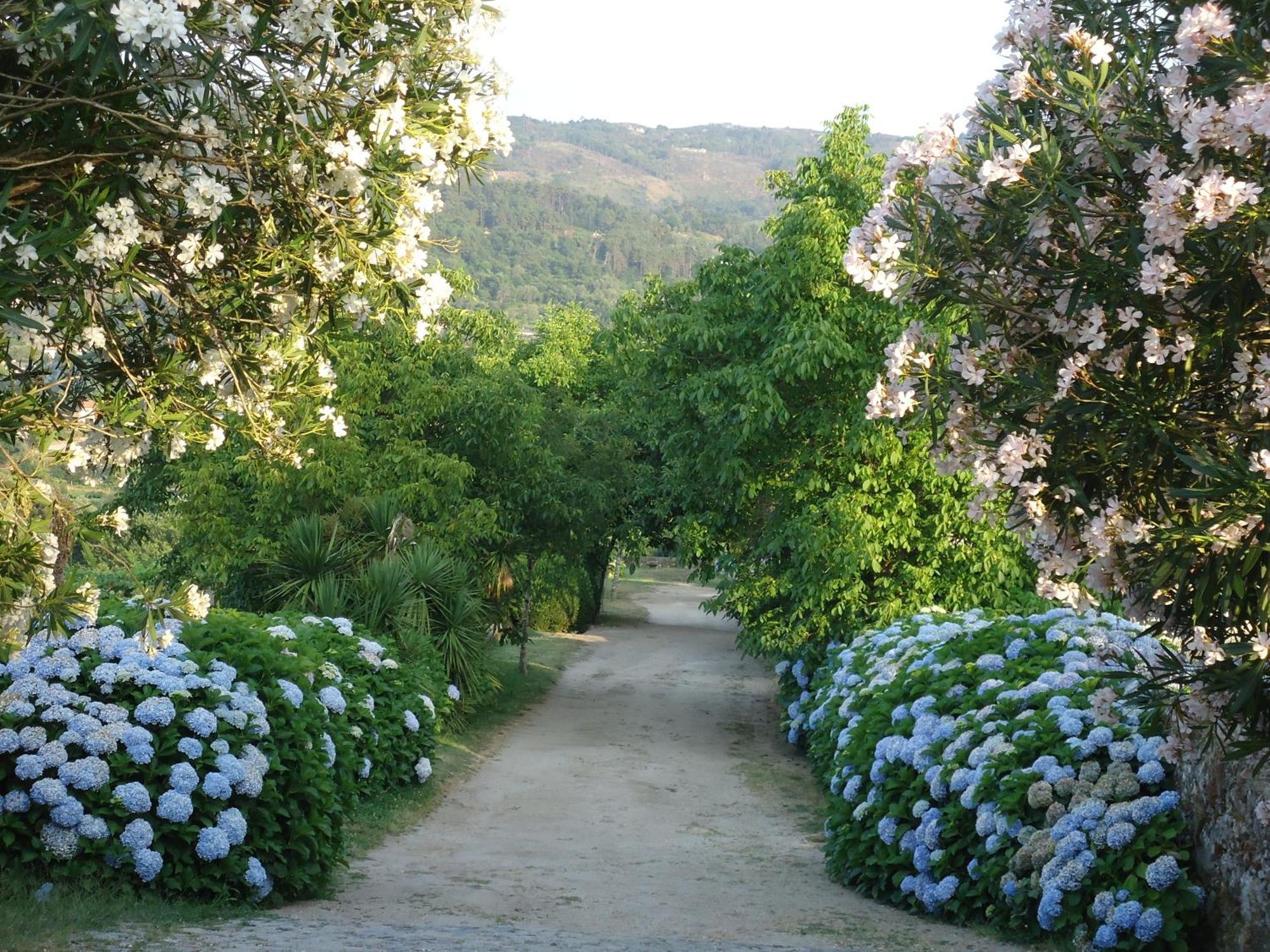 Quinta De Luou Villa Santa Cruz do Lima Kültér fotó